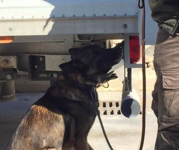 Ricerca Unit K9