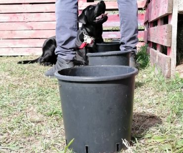 Ricerca Unit K9