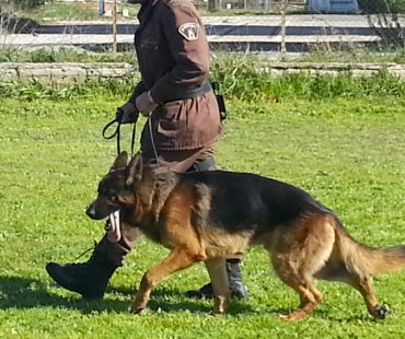 Unit k9